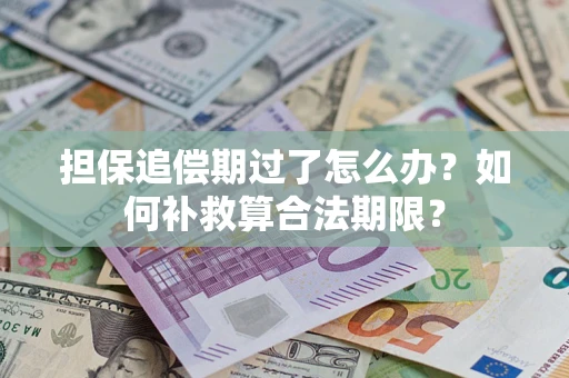 北京担保追偿期过了怎么办？如何补救算合法期限？