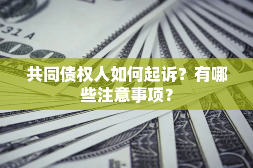北京共同债权人如何起诉？有哪些注意事项？